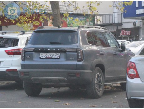 х067кр31, Haval Dargo (Dagou / Big Dog)