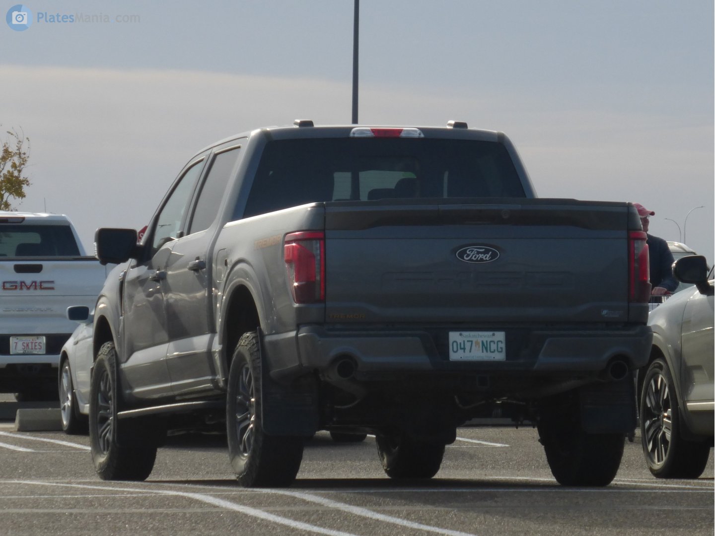 047 NCG, Ford F-150 14th gen (P702), 2020–