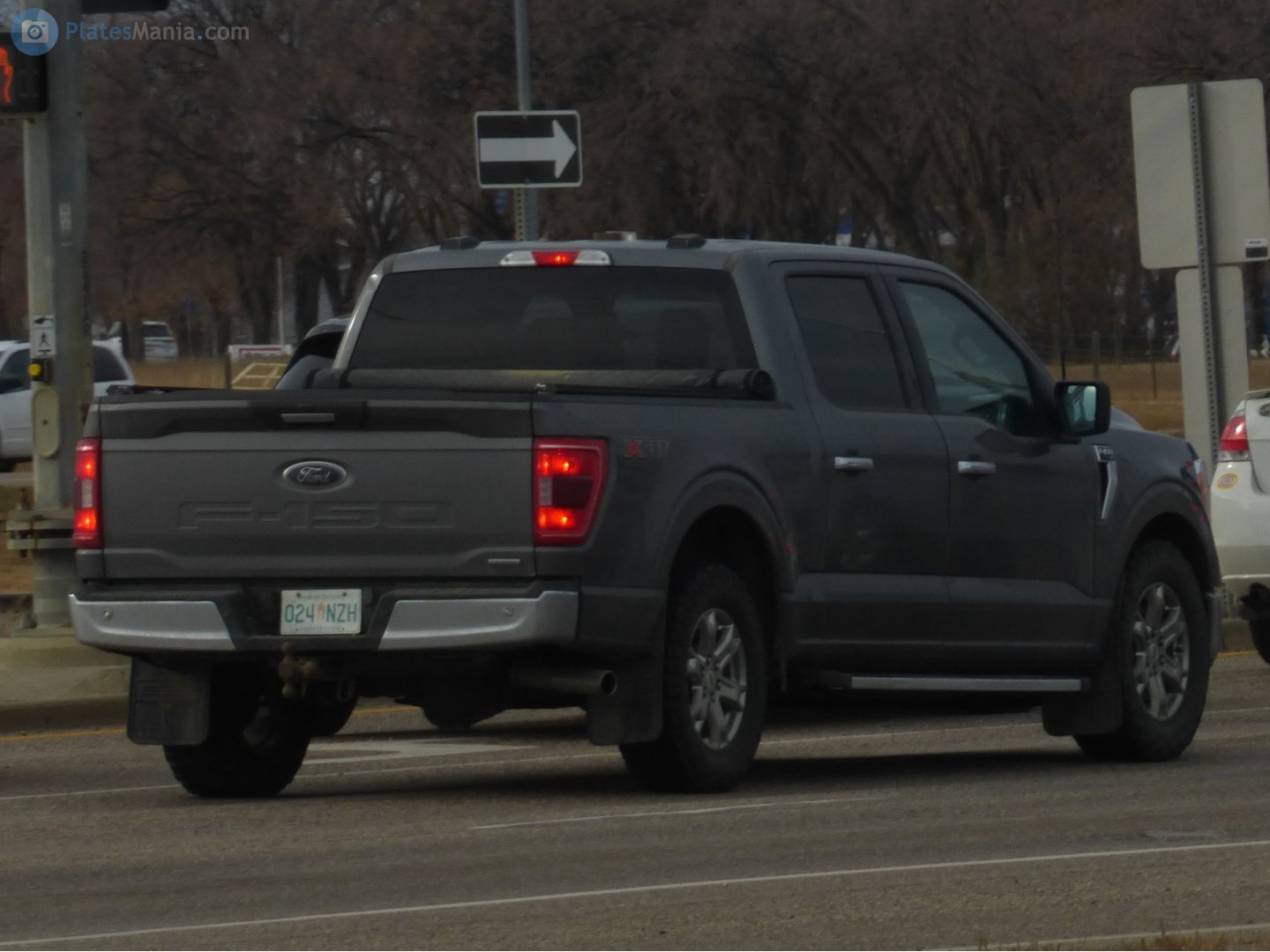 024 NZH, Ford F-150 14th gen (P702), 2020–