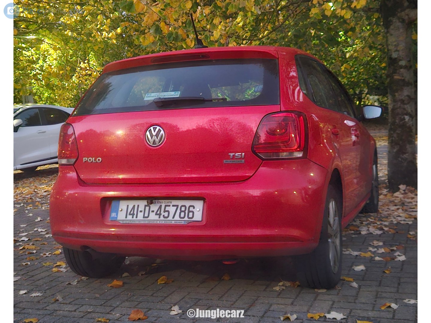 141-D-45786, Volkswagen Polo 5th gen 5-door Hatch (6R), 2009–2014