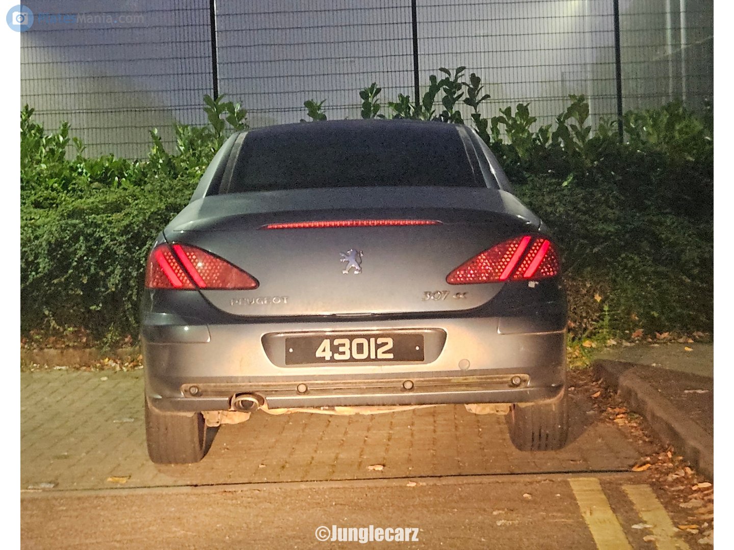 43012, Peugeot 307 1st gen CC Cabriolet (T5/T6), 2003–2008