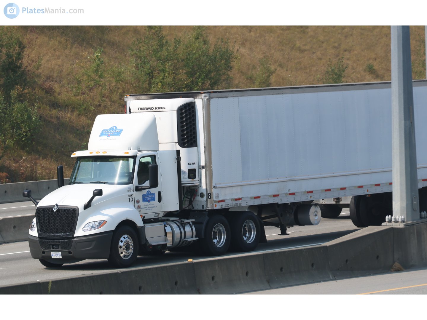 WH-8459, International LT Series 1st gen, 2017–