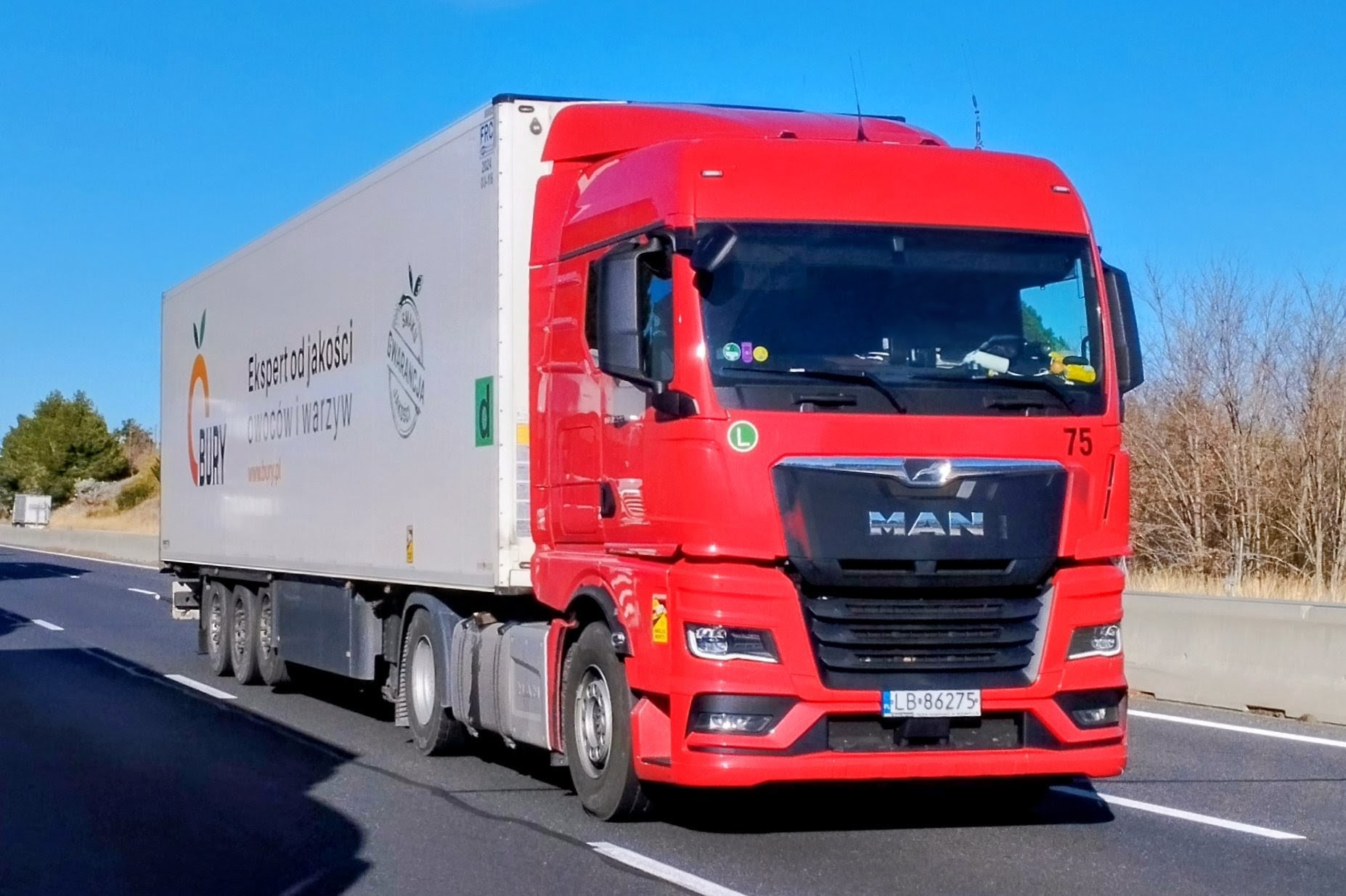 LB 86275, MAN TGX 2nd gen, 2020–