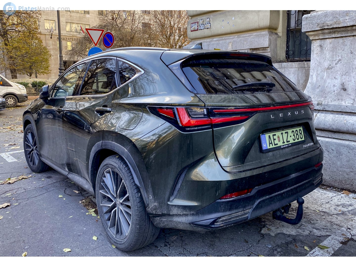 AE IZ-388, Lexus NX 2nd gen (AZ20), 2021–