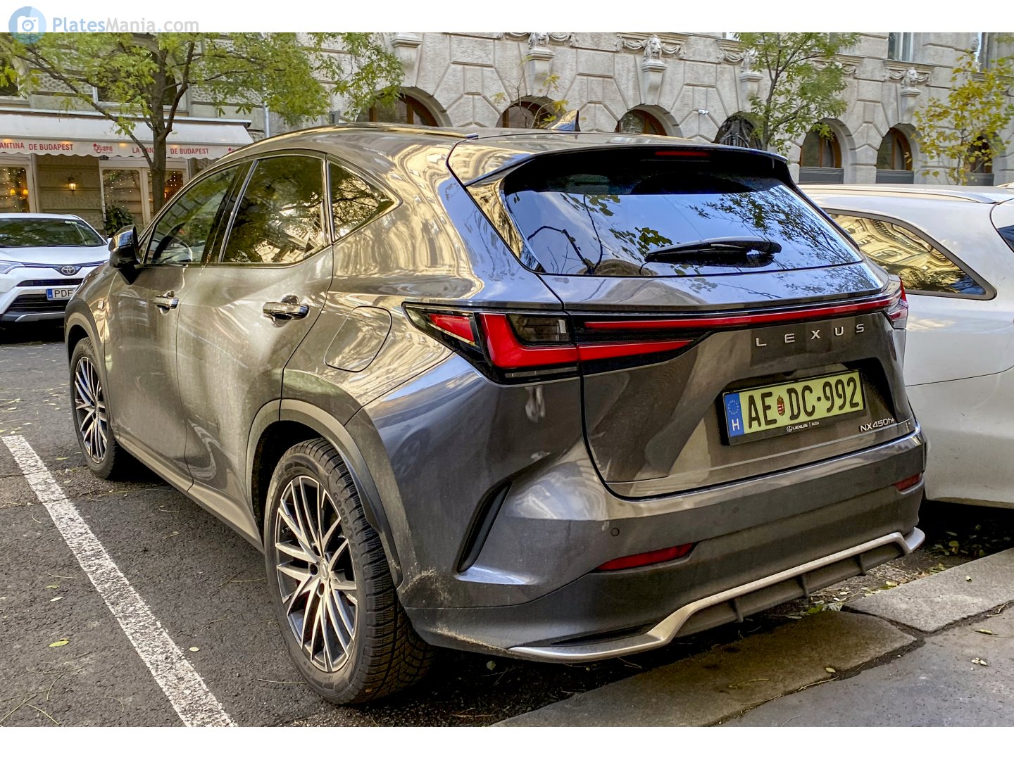 AE DC-992, Lexus NX 2nd gen (AZ20), 2021–