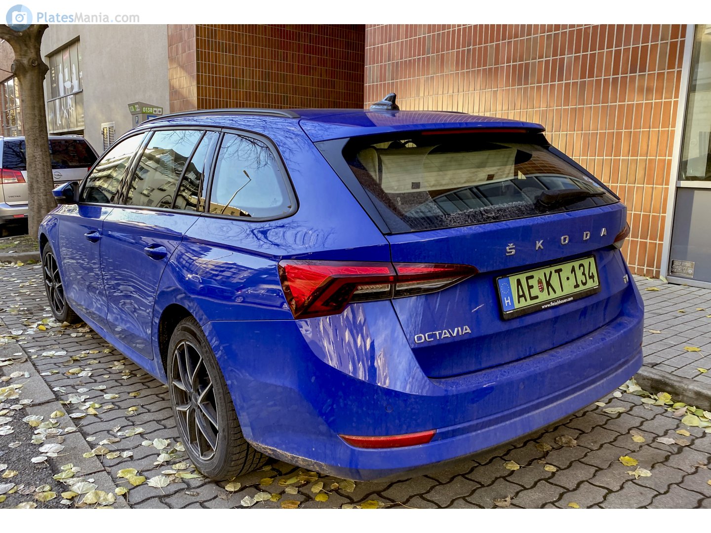 AE KT-134, Skoda Octavia 4th gen Combi (NX5), 2019–2024