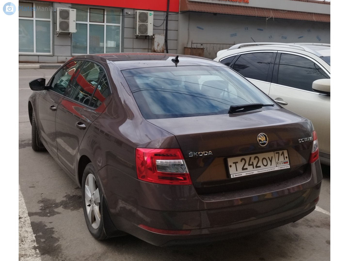 т 242 оу 71, Skoda Octavia 