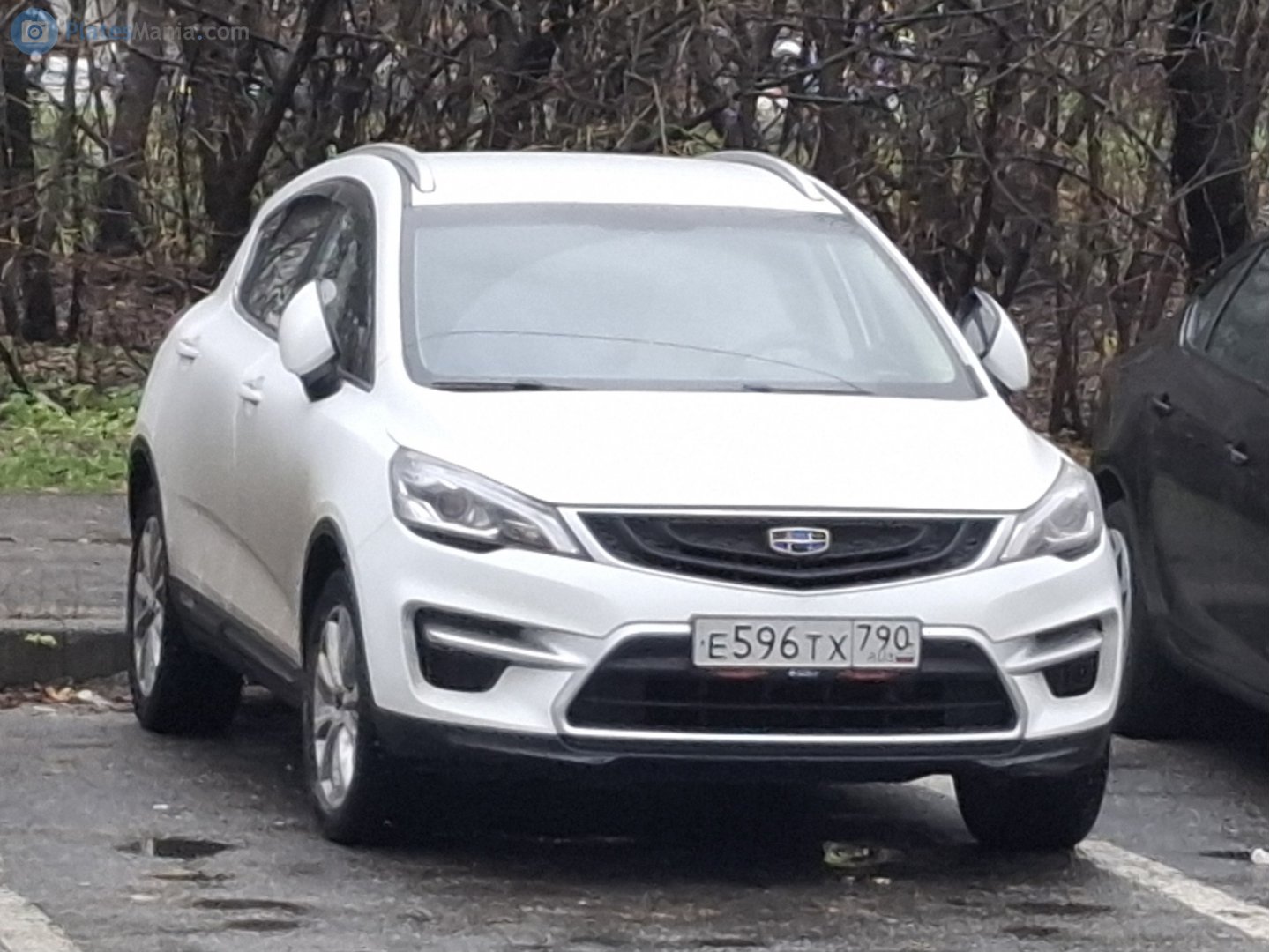 е 596 тх 790, Geely GS 