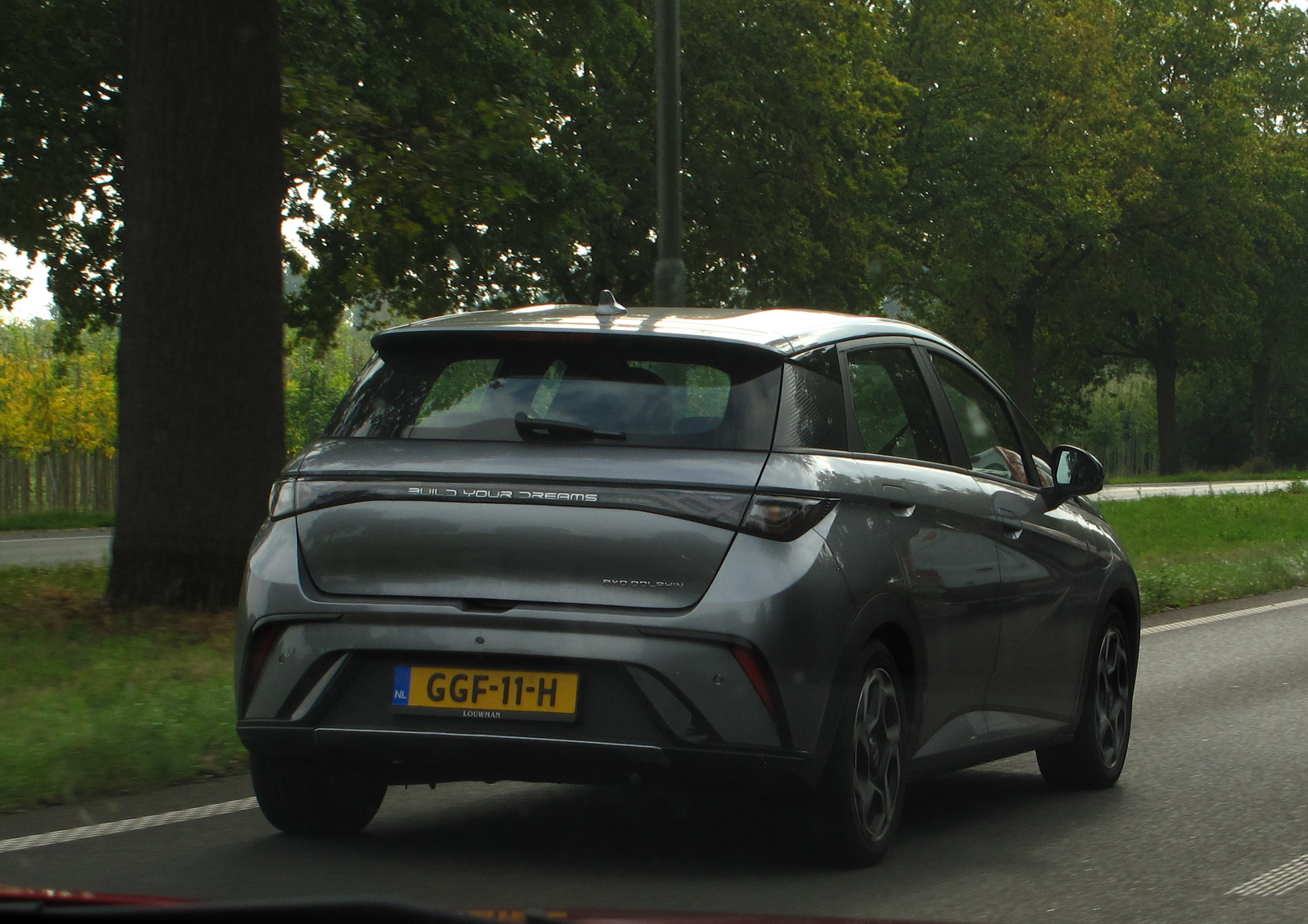 GGF-11-H, BYD Dolphin / Haitun 1st gen (EA1), 2021–