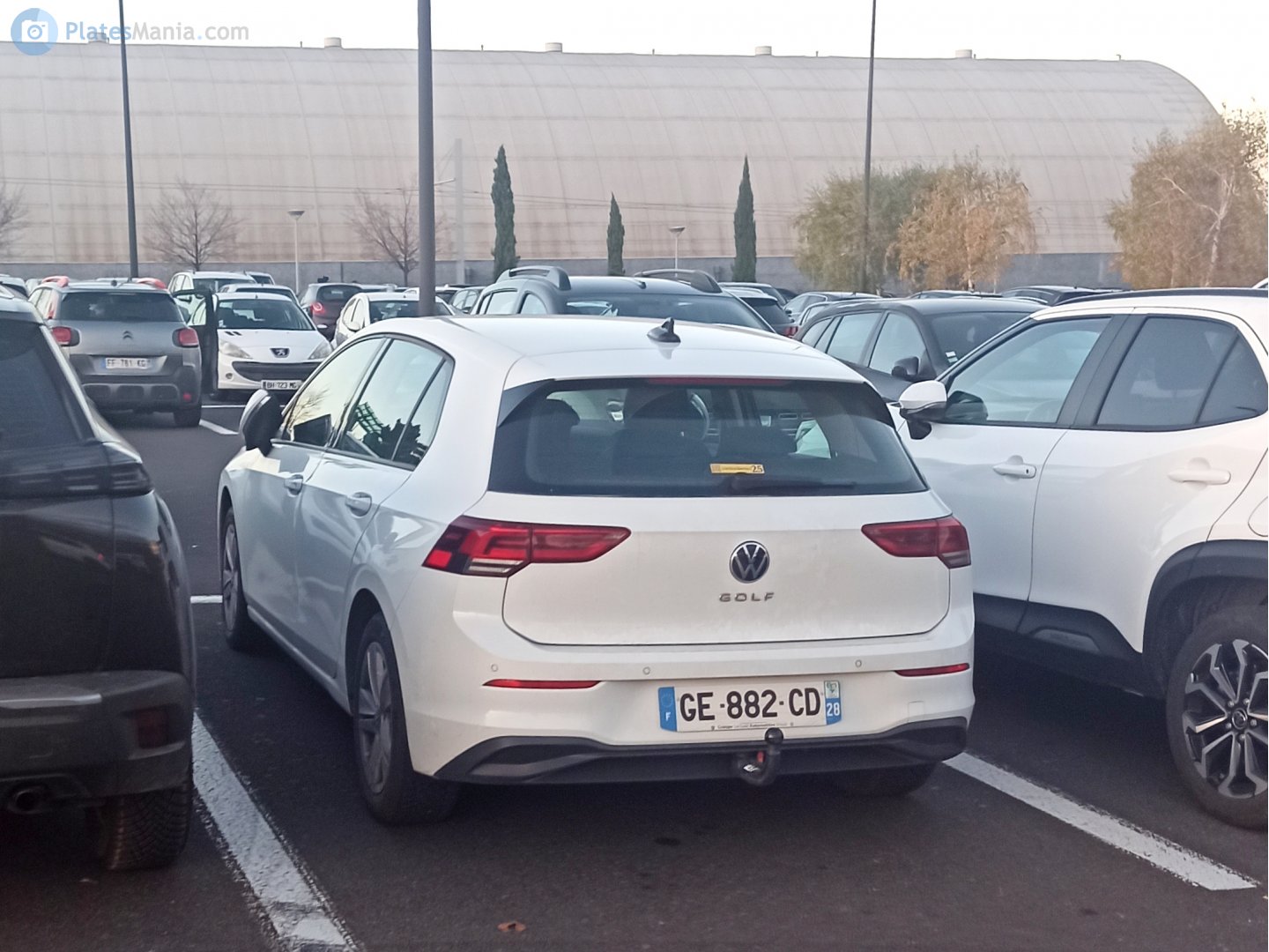 GE-882-CD, Volkswagen Golf 8th gen Hatch (CD1), 2020–