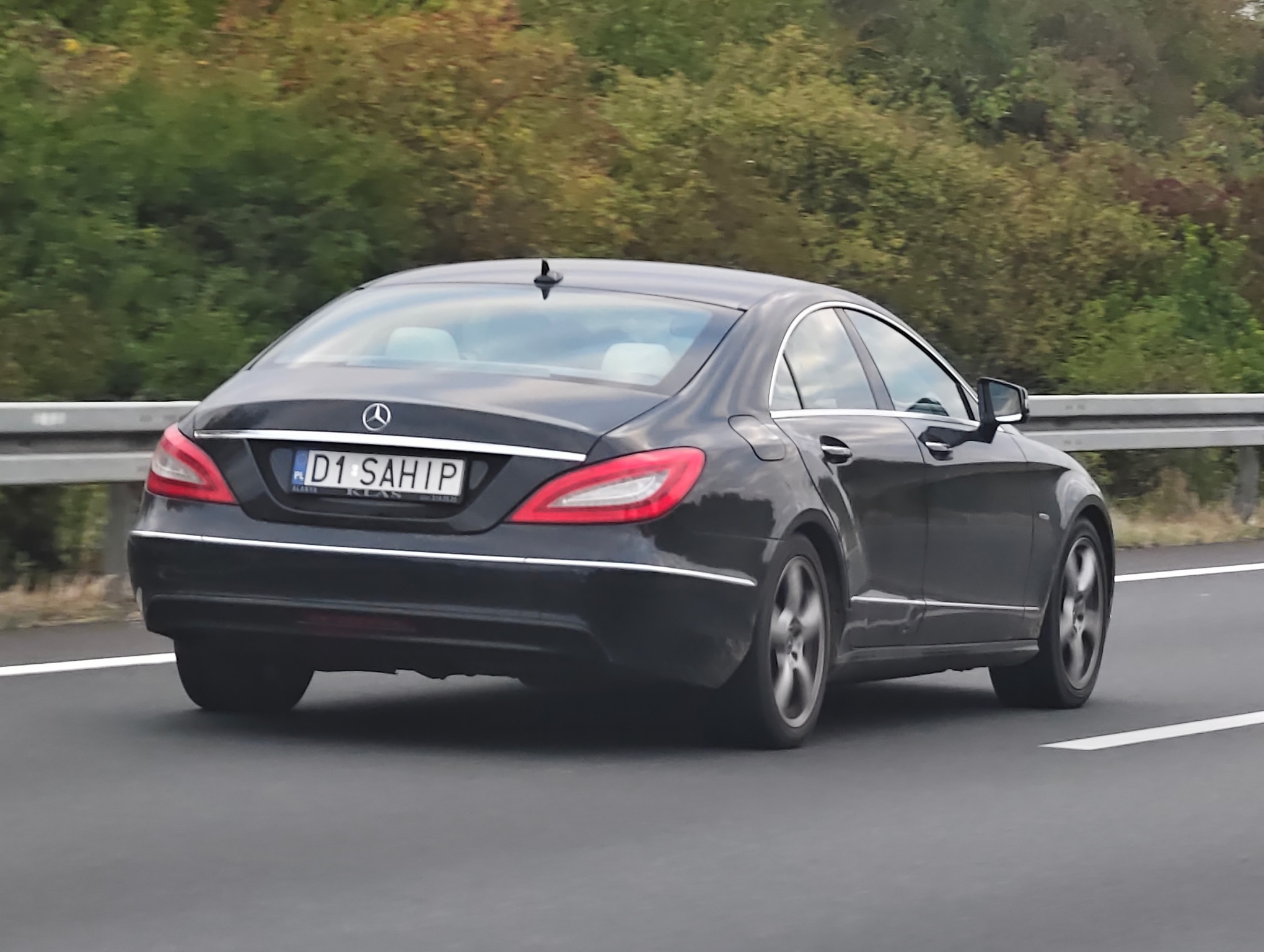 D1 SAHIP, Mercedes-Benz CLS-Klasse 2nd gen 4-door Сoupé (C218), 2010–2018
