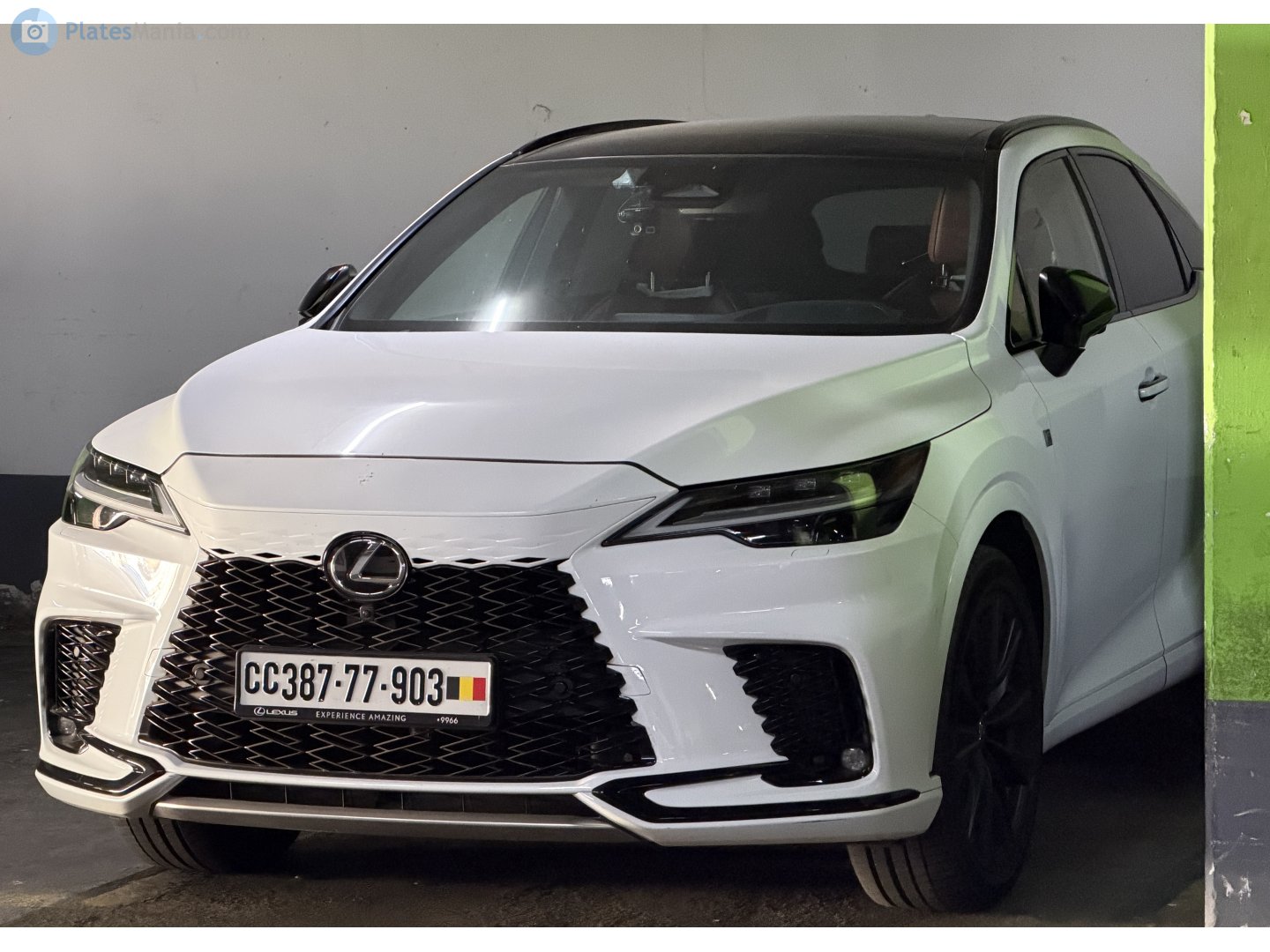 387-77-903, Lexus RX 5th gen (AL30), 2022–