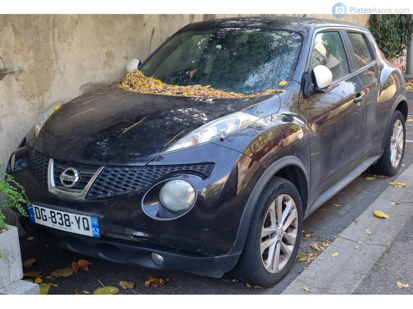 DG-838-YQ, Nissan Juke 1st gen (F15), 2010–2014