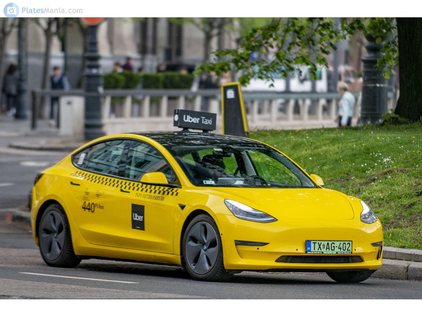 TX AG-402, Tesla Model 3 1st gen (5YJ3), 2017–2023