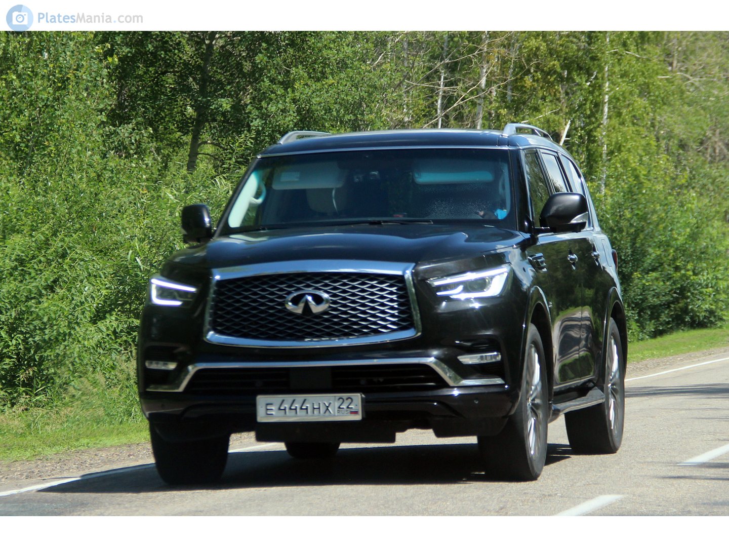 е 444 нх 22, Infiniti QX80/QX56 2nd gen QX80 (Z62), facelift, 2017–2024