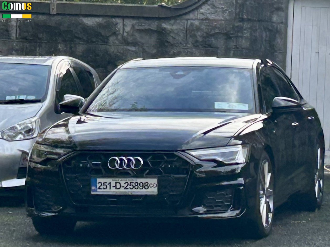 251-D-25898, Audi A6 5th gen Sedan (C8/4K2), 2018–