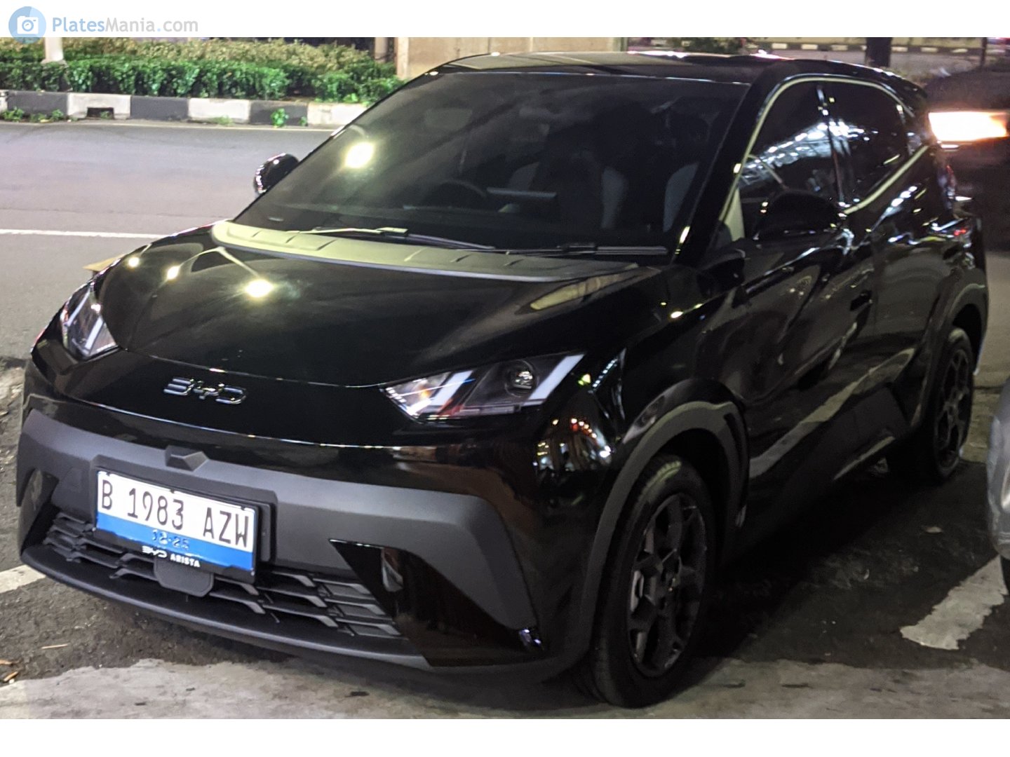 B 1983 AZW, BYD Dolphin Mini / Surf / Haiou / Seagull 1st gen, 2023–