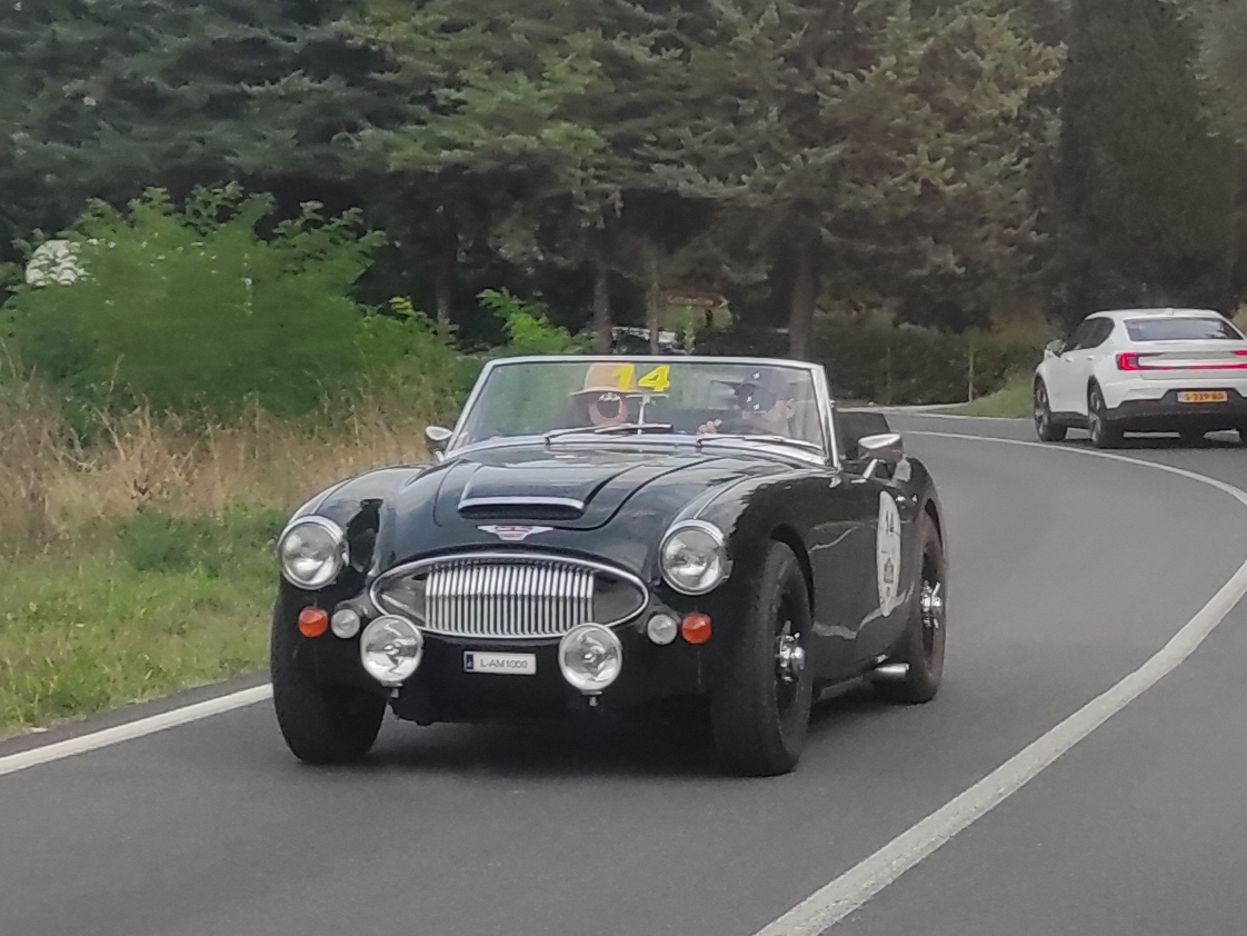 L AM 1000, Austin-Healey 100/3000 