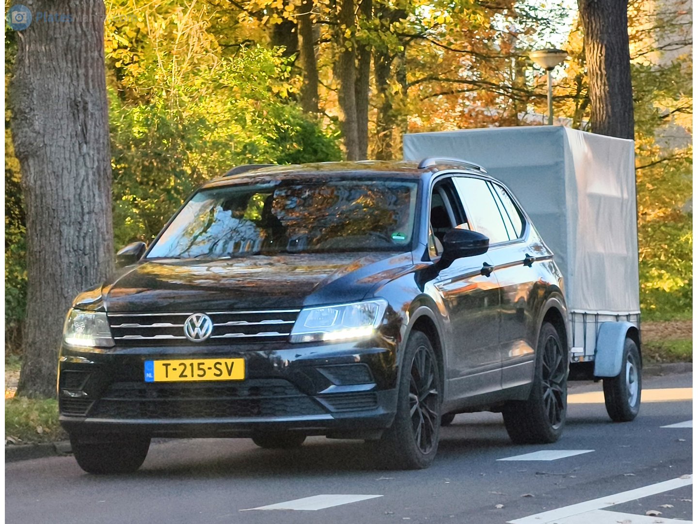 T-215-SV, Volkswagen Tiguan 2nd gen (AD/AX/Allspace/L), 2016–2021