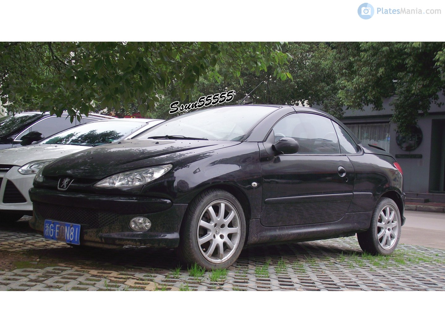 浙G·E0N81, Peugeot 206 1st gen CC Cabriolet (T16), 2000–2007