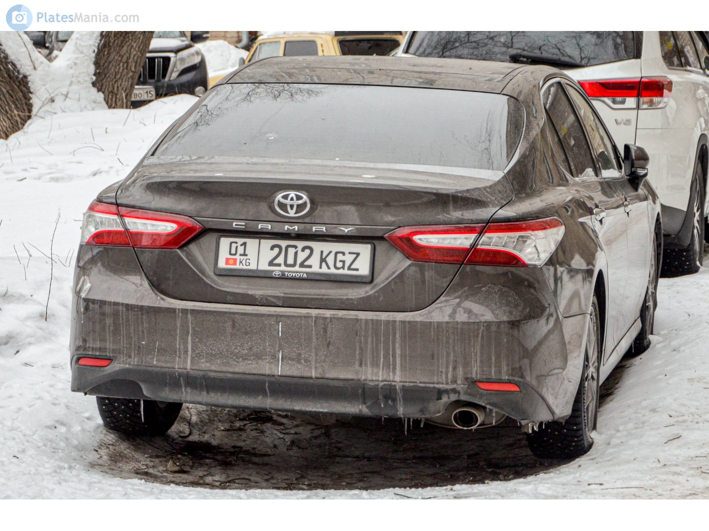 01 202 KGZ, Toyota Camry 8th gen (XV70), 2017–