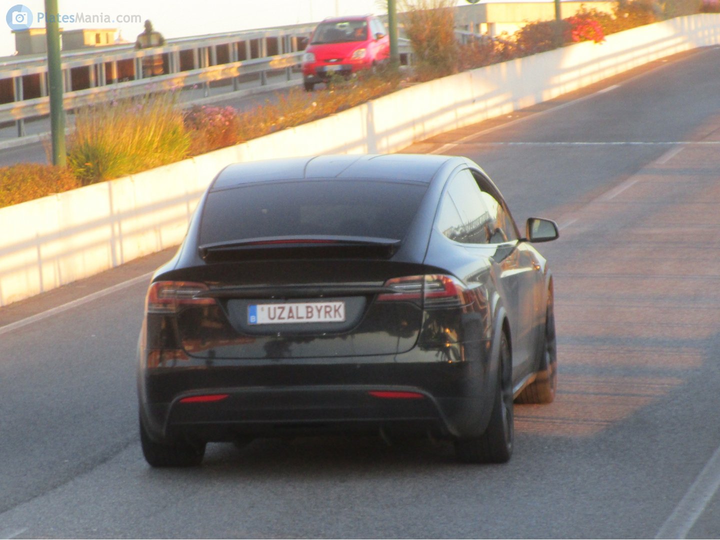 UZALBYRK, Tesla Model X 1st gen (5YJX), 2015–