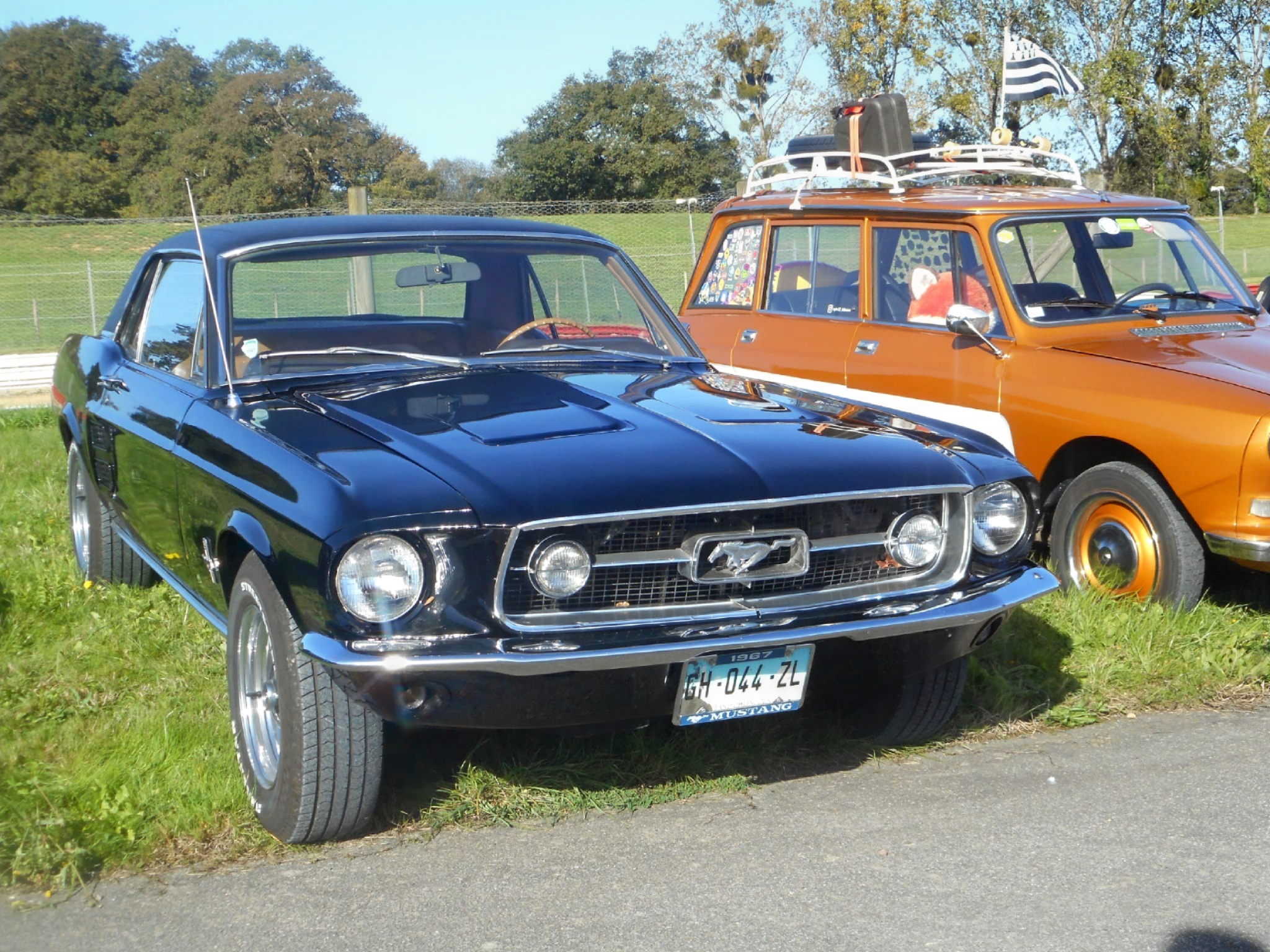 GH-044-ZL, Ford Mustang 