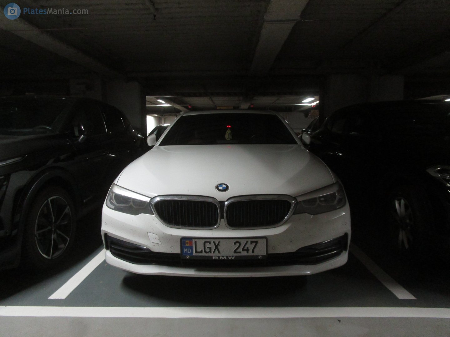 LGX 247, BMW 5 Series 
