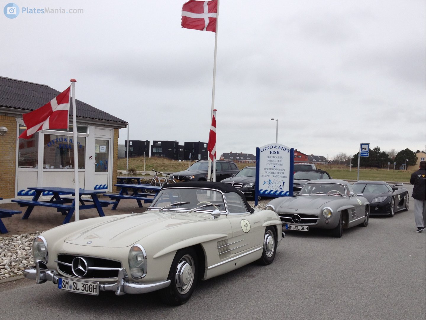 SM SL 300 H, Mercedes-Benz SL-Klasse 1st gen 300 SL (W198), 1954–1963
