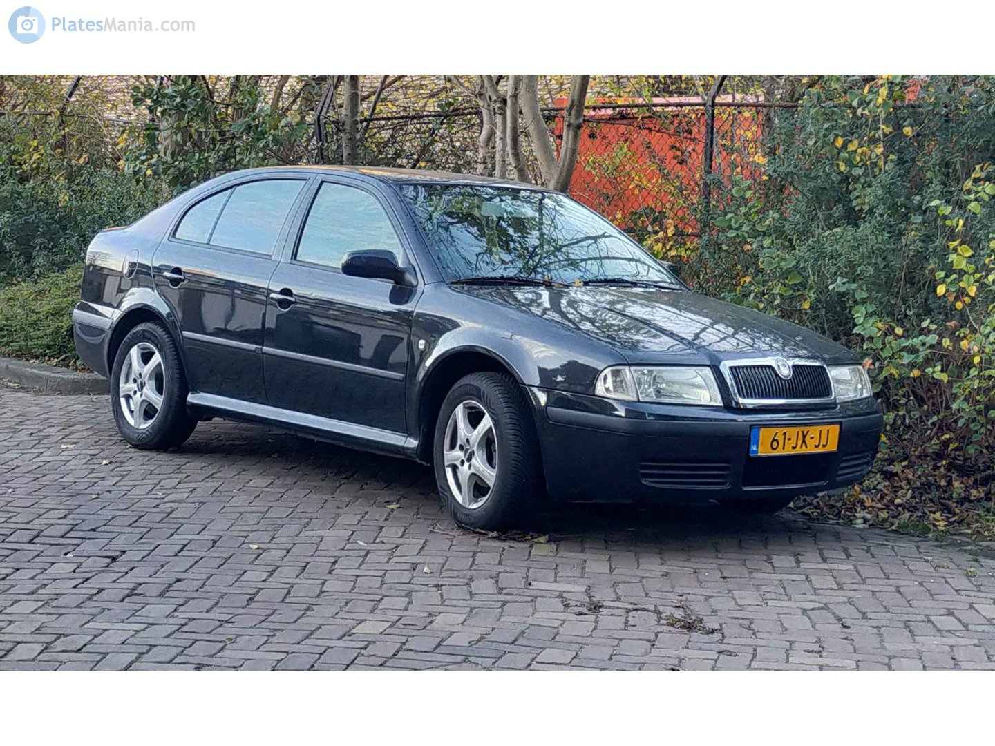 61-JX-JJ, Skoda Octavia 1st gen Liftback (A4/1U2), 1996–2010