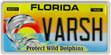 Florida, Vanity Plates
