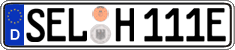 German license plate, Electric vehicles