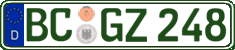 German license plate, Regular plates
