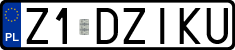 License plates of Poland, Vanity Plates