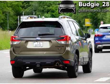 T S 00729, Subaru Forester