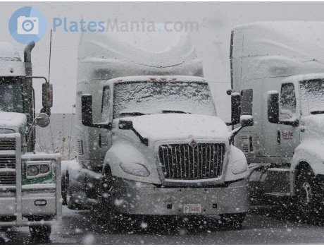 0-EG600, International LT Series