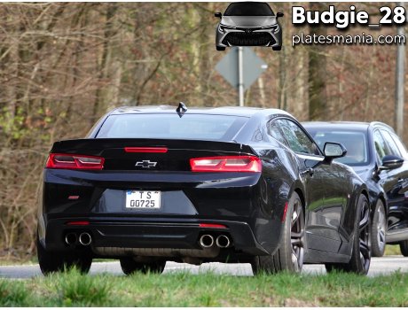 T S 00725, Chevrolet Camaro