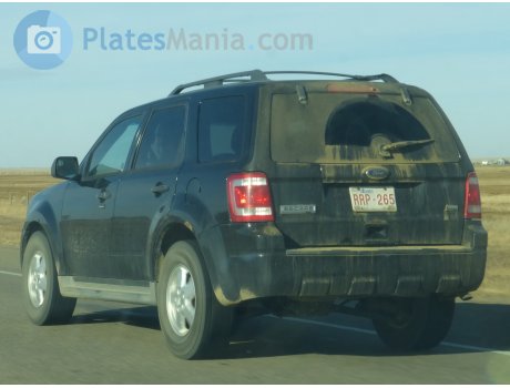 RRP-265, Ford Escape