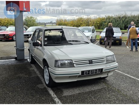 EY-619-BJ, Peugeot 309