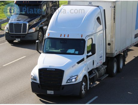 P1239891, Freightliner Cascadia