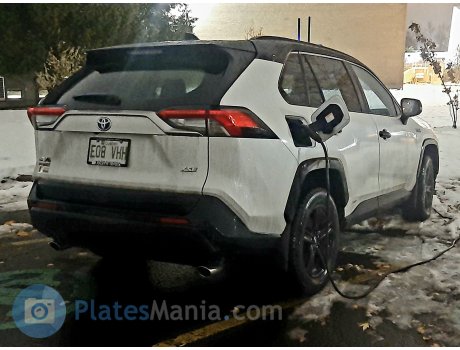 E08 VHH, Toyota RAV4