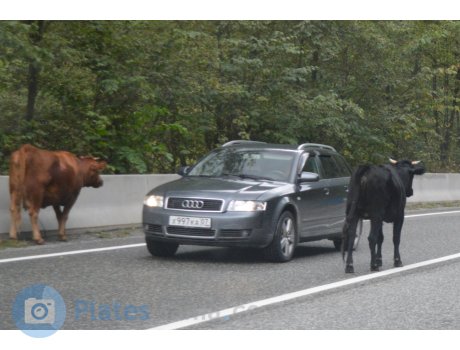 х997ка07, Audi A4