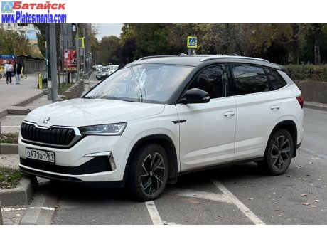 в471ос761, Skoda Kamiq