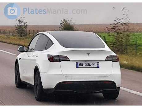 HA-004-EL, Tesla Model Y