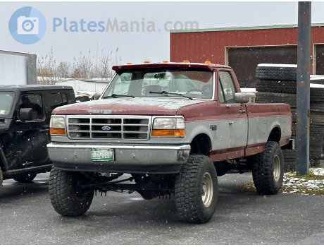 462A217, Ford F-250