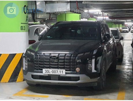 30L-007.11, Hyundai Palisade