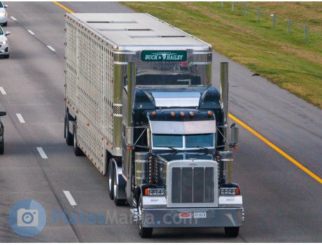 51-116 P/Z, Peterbilt 379