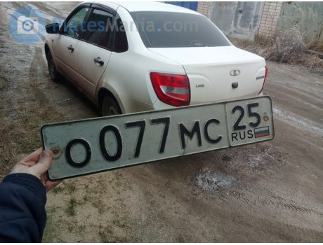 о077мс25, License plate without vehicle