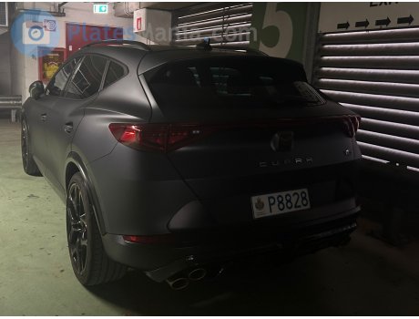 P8828, Cupra Formentor