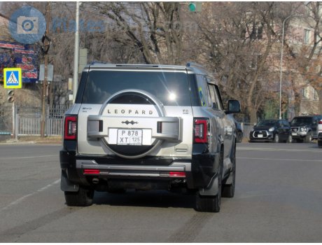 р878хт125, Fangchengbao Leopard (Bao) 8